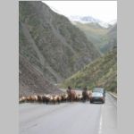 Kaz - Kir  (35).jpg