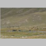 Kaz - Kir  (364).jpg