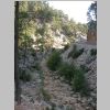 DSCN2550.JPG